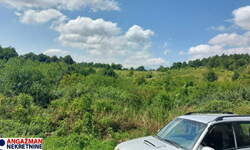 Plac, Boljevac - Bačevica | Prodaja · 83461m² · 40.000€