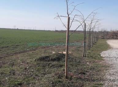 Plac, Beograd, Zemun (novi Grad), prodaja, 6400m2, 350000e, id1485672