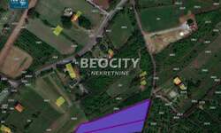 Plac, Irig, Jazak, prodaja, 4000m2, 80000e, id1486170