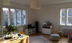 Dvoiposoban stan, Novi Sad, izdavanje, 64m2, 620e, id1486245