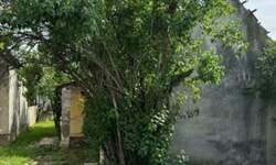 Kuca, Novi Sad, prodaja, 469m2, 51500e, id1486271