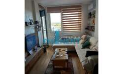 Dvosoban stan, Beograd, Učiteljsko Naselje, izdavanje, 40m2, 550e, id1486281