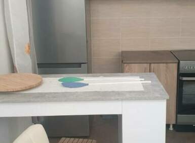 Garsonjera, Novi Sad, izdavanje, 28m2, 250e, id1486611