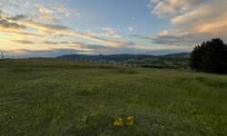 Plac, Požega - Tometino Polje | Prodaja · 7500m² · 1.000€