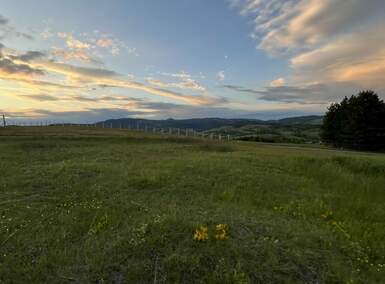 Plac, Požega, Tometino Polje, prodaja, 7500m2, 1000e, id1486664