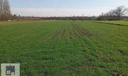 Plac, Beograd - Urovci | Prodaja · 157.500€