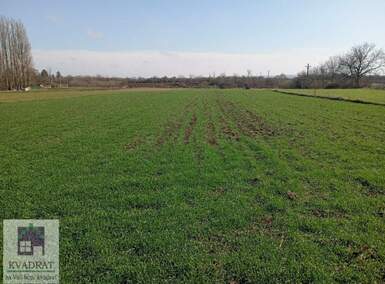 Plac, Beograd - Urovci | Prodaja · 157.500€