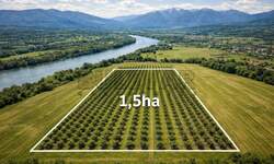 Plac, Niš - Lalinac | Prodaja · 15000m² · 30.000€