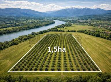 Plac, Niš - Lalinac | Prodaja · 15000m² · 30.000€