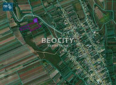 Plac, Irig - Rivica | Prodaja · 14800m² · 79.000€