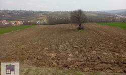 Plac, Beograd - Barič | Prodaja · 22.000€