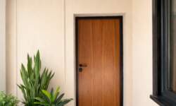 Dvosoban stan, Novi Sad | Izdavanje · 50m² · 500€