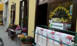 Kuća, Inđija | Prodaja · 320m² · 150.000€