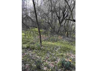 Plac, Beograd - Lisović | Prodaja · 1800m² · 28.000€