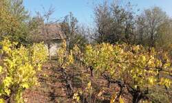 Apartman, Jagodina - Miloševo | Prodaja · 30m² · 11.000€