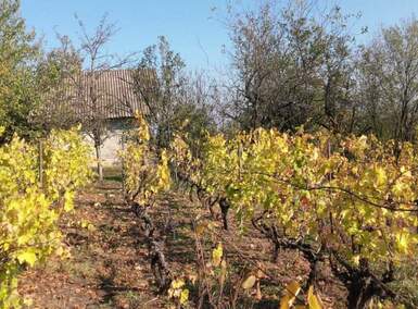 Apartman, Jagodina - Miloševo | Prodaja · 30m² · 11.000€