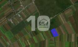 Plac, Inđija - centar | Prodaja · 550.000€