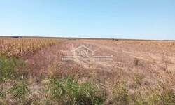 Plac, Beograd - Batajnica | Prodaja · 212.000€