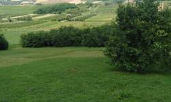 Plac, Irig | Prodaja · 4300m² · 138.000€