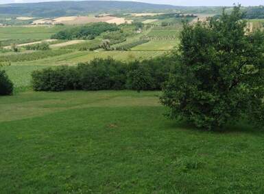 Plac, Irig | Prodaja · 4300m² · 138.000€