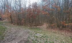 Plac, Čačak | Prodaja · 300m² · 1.200€