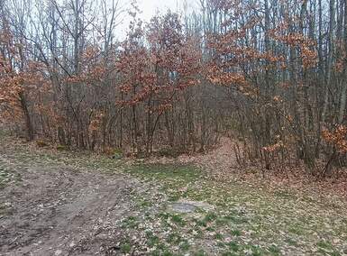 Plac, Čačak | Prodaja · 300m² · 1.200€