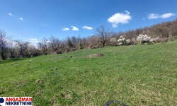 Plac, Boljevac - Krivi Vir | Prodaja · 4925m² · 7.500€