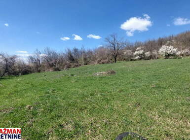 Plac, Boljevac - Krivi Vir | Prodaja · 4925m² · 7.500€