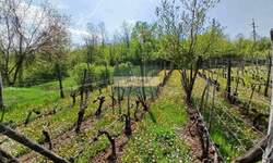 Plac, Jagodina - Majur | Prodaja · 12.580€