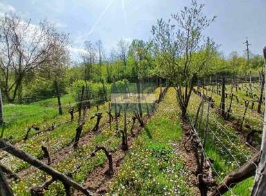 Plac, Jagodina - Majur | Prodaja · 12.580€