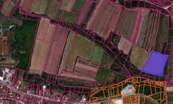 Plac, Topola | Prodaja · 15000m² · 50.000€