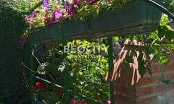 Trosoban stan, Novi Sad - Petrovaradin | Izdavanje · 70m² · 250€