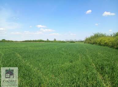 Plac, Beograd - Grabovac | Prodaja · 10.000€