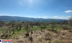 Plac, Boljevac - Krivi Vir | Prodaja · 24960m² · 12.500€