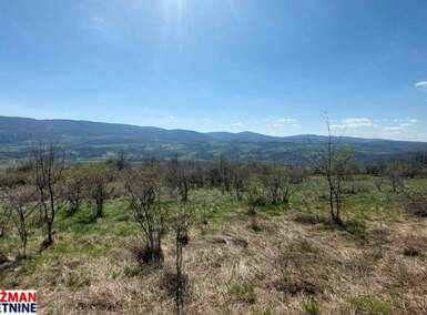 Plac, Boljevac - Krivi Vir | Prodaja · 24960m² · 12.500€