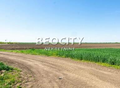 Plac, Beograd - Batajnica | Izdavanje · 24000m² · 2.500€