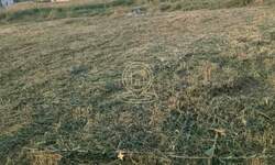 Plac, Novi Sad | Prodaja · 72.100€