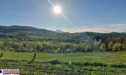 Plac, Boljevac - Bačevica | Prodaja · 15951m² · 5.000€