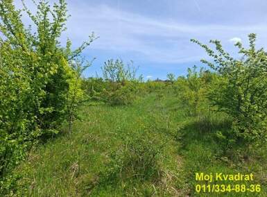 Plac, Beograd - Rušanj | Prodaja · 356.000€