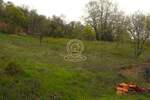 Plac, Novi Sad | Prodaja · 139.100€