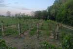 Kuća, Kikinda - Nakovo | Prodaja · 200m² · 27.000€