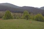 Plac, Vrnjačka Banja - Vrnjačka banja | Prodaja · 4438m² · 268.000€