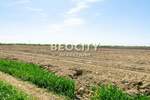 Plac, Beograd - Batajnica | Izdavanje · 24000m² · 2.500€