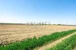 Plac, Beograd - Batajnica | Izdavanje · 24000m² · 2.500€