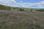 Plac, Golubac - Usije | Prodaja · 493m² · 5.000€