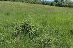 Plac, Beograd | Prodaja · 5000m² · 48.000€