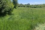 Plac, Beograd | Prodaja · 5000m² · 48.000€