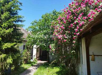 Dvosoban stan, Beograd - Boljevci | Izdavanje · 80m² · 350€
