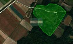 Plac, Jagodina - Dragocvet | Prodaja · 4.000€