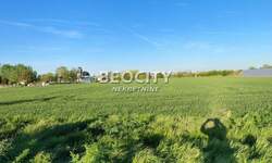 Plac, Pećinci - Pećinci | Prodaja · 11000m² · 270.000€